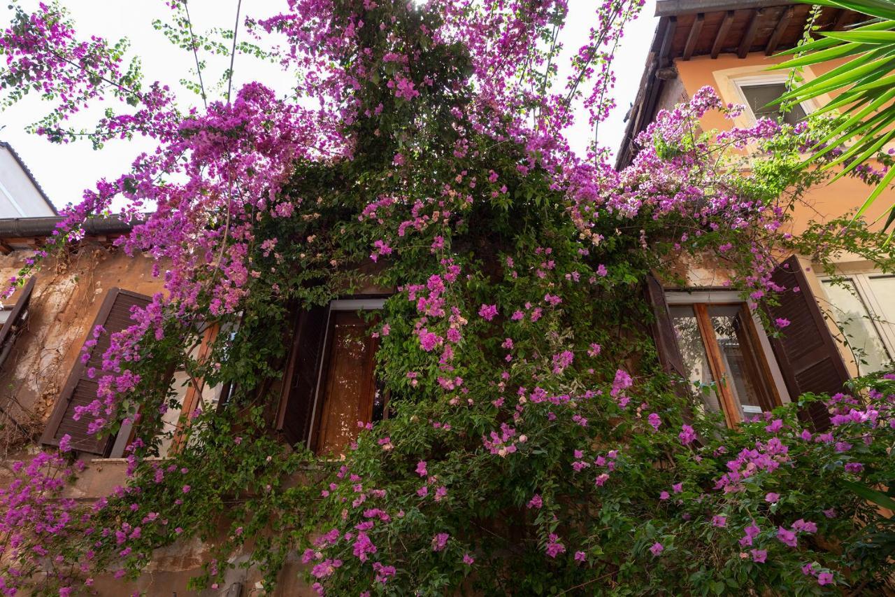 Apartment Palace Of Flowers 53 Piazza Navona *