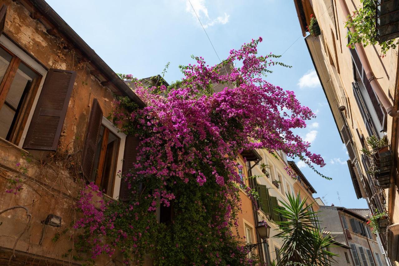 Palace Of Flowers 53 Piazza Navona Apartment